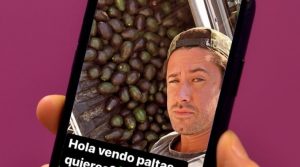 Las estrategias con que ‘influencers’ de redes sociales se suman al ‘boom’ del consumo de paltas en Chile