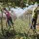El reto de contar con mano de obra más eficiente y productiva