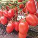 Reinventar el cultivo del tomate