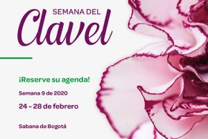 En febrero, la “Semana del clavel” se realizará en Colombia