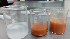 Con semilla del aguacate, desarrollan material para reducir sustancia cancerígena en papas fritas