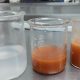 Con semilla del aguacate, desarrollan material para reducir sustancia cancerígena en papas fritas