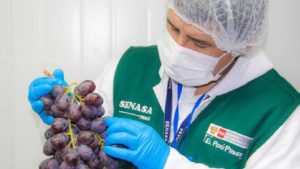 Agroexportadores advierten que desatención de las necesidades del Senasa es una amenaza para el sector agrario