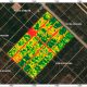 El Mapeo Verde Satelital de SGS permite optimizar la producción de los campos