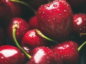 Buena calidad y aciertos en logística perfilaron una exitosa temporada de cerezas