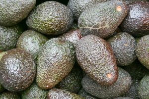 ¿Disponemos de tecnología para exportar palta a mercados distante?