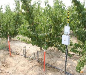 El mercado de la agricultura conectada valdrá US$3,060 millones en 2021