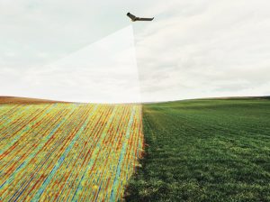 Empresas peruanas: Ideas disruptivas para la industria agrícola del Perú