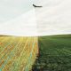 Empresas peruanas: Ideas disruptivas para la industria agrícola del Perú