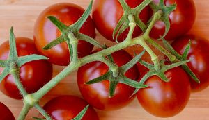 Estudio revela cómo reducir riego en tomates sin afectar su calidad