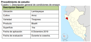 BlueN logra rendimiento y calidad del cultivo de arroz (Oryza sativa) aplicando un 48% menos de nitrógeno de cobertera