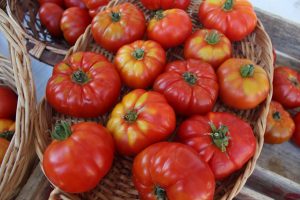 Estudio revela nuevo mecanismo para controlar la maduración del tomate