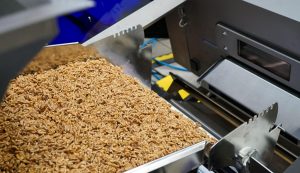 Frutos secos: presentan tecnología para una clasificación más eficiente