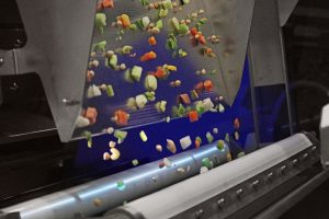 TOMRA Food lanza máquina de clasificación para frutas y hortalizas IQF