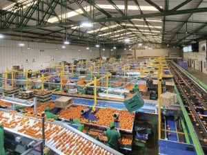 Empuje a la cadena agroexportadora