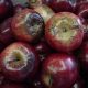 Análisis de tejidos vegetales como herramienta de control nutricional en frutales