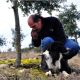 La trufa: El cultivo de peor rendimiento por hectárea, pero de los más rentables