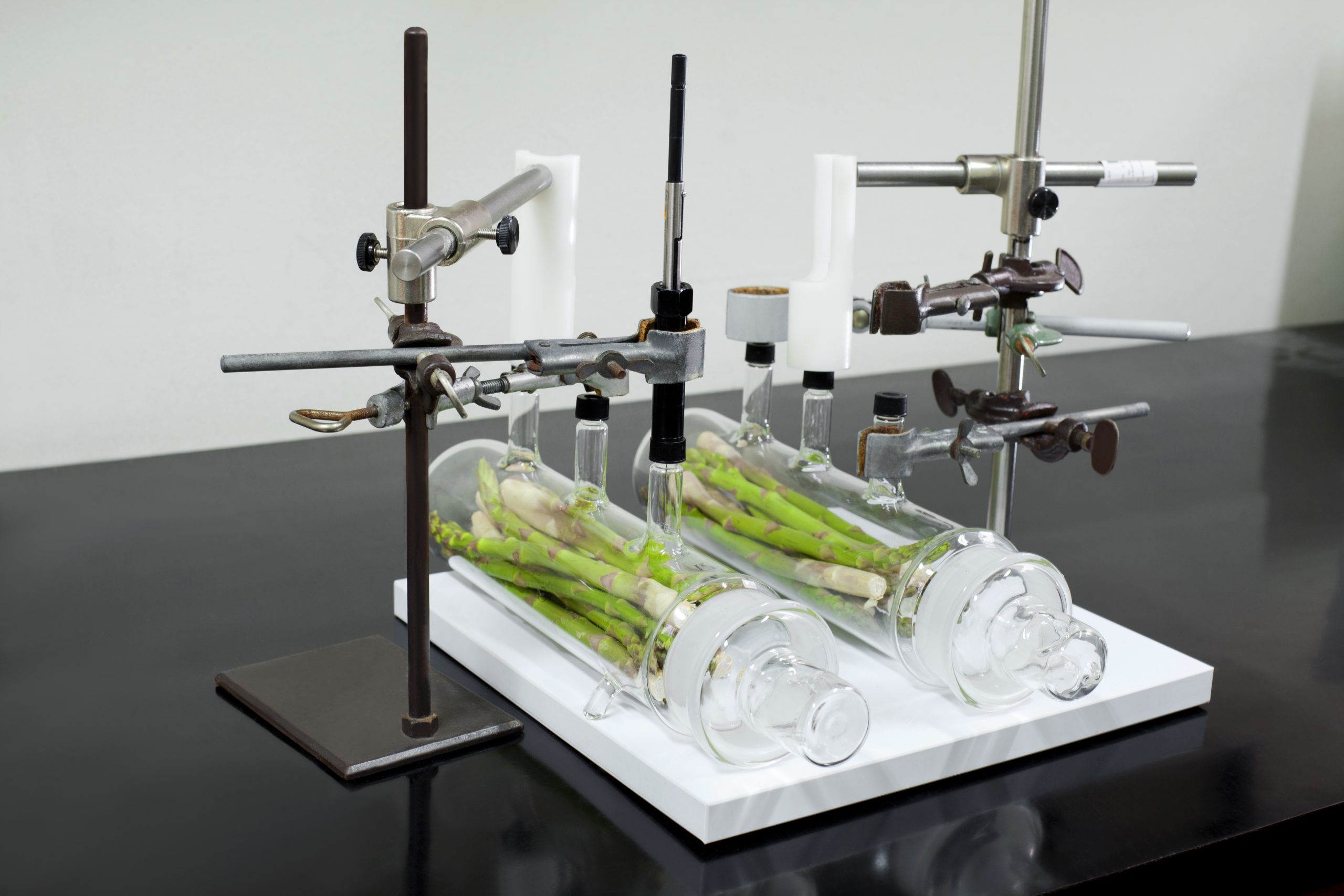 HORMONAS: REGULADORES DE CRECIMIENTO Y BIOESTIMULANTES