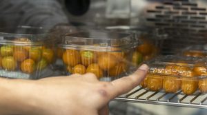 Empaques biodegradables prolongarían la vida útil de las uchuvas