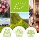 La Comisión Europea presentó un Plan de Acción para el desarrollo de la producción ecológica