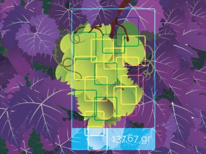 Viticultura 3.0, más eficiencia y precisión en la producción