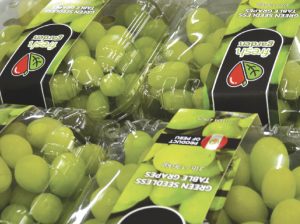 Fegurri, crecimiento controlado apostando por la diversificación