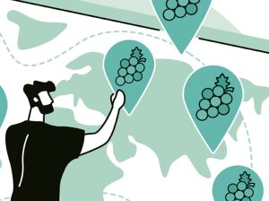 Exportaciones de uva peruana romperán récord
