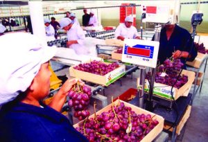 “Hoy el mercado está tan sensible a los volúmenes como a la calidad”
