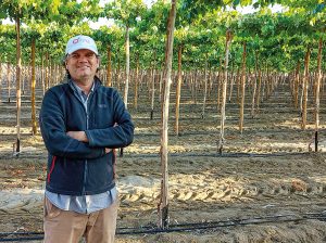 "Debemos dejar de pensar en sacar la ‘uva más bonita’"