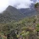 Analizan los microorganismos del suelo del Valle del Cauca que son claves para conservar los ecosistemas