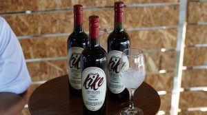 Vino artesanal de corozo, un negocio que crece en el departamento del Cesar