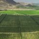 Virú S.A. se ubica entre los 10 “Mejores lugares para trabajar” en el Perú 2020