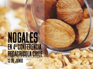 Los principales expertos en nogales estarán en la 4a Conferencia Redagrícola Chile