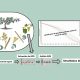 Diagnóstico de mutaciones de Botrytis spp. en solo 48 horas