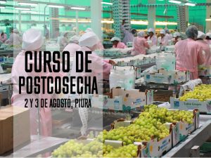 Curso internacional de postcosecha en el marco de la 3a Coferencia Redagrícola Piura