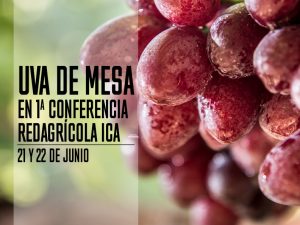 Novedades técnicas en uva de mesa en la 1ª Conferencia Redagrícola Ica