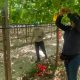 “Glomus iranicum var tenuihypharum”: El exclusivo hongo formador de micorrizas patentado hace 10 años que mejora el rendimiento de los cultivos