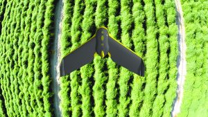 Mirada de águila para el campo en la era digital