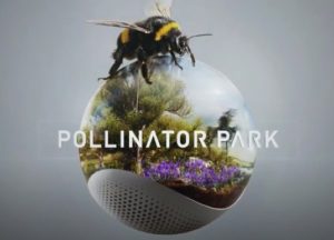 Comprendiendo la importancia de los polinizadores