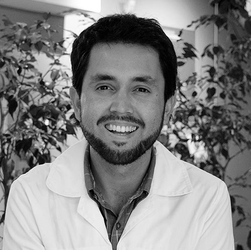 Cristian Estrada