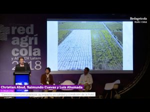 “Cerezos: Cobertores plásticos, su impacto en calidad y condición de la fruta”