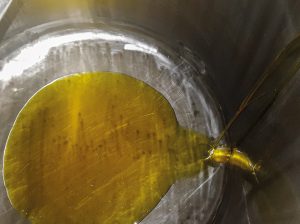 Deshidratados Tropicales posiciona aceites vegetales en el exterior