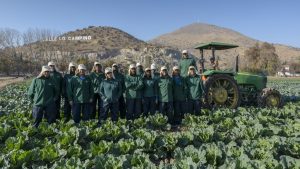 La mayor productora de hortalizas orgánicas del país