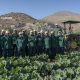 La mayor productora de hortalizas orgánicas del país
