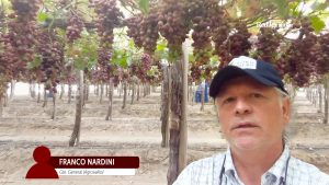 HLProtagonistas: Agrovalko y la larga vida a las 