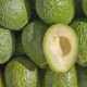 Con inteligencia artificial buscan predecir el grado de madurez óptimo del aguacate