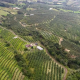 Aradura y control de arvenses, claves en el cuidado del suelo para implementar cultivos de aguacate