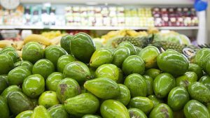 Aguacate: investigadora descubre ácaros benéficos en cultivos