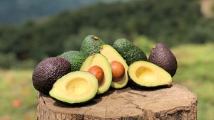 Colombia sería el segundo proveedor de aguacate de Europa en el 2021
