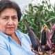 La guardiana del maíz morado de excelencia